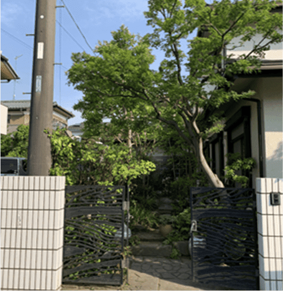 山梨県昭和町 刈り込み枝落とし